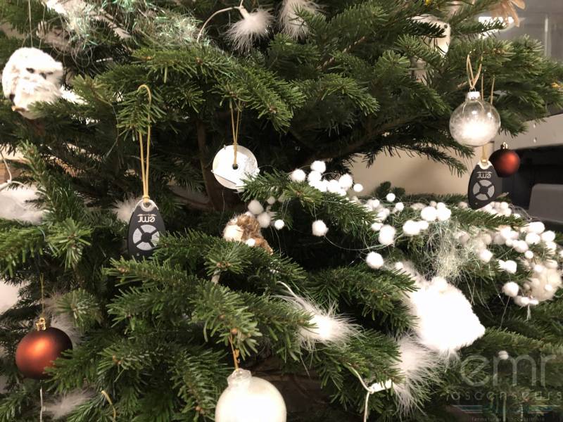 EMR Ascenseurs a décoré son sapin de Noël